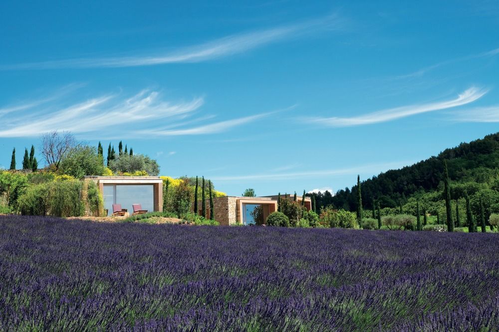 Domaine Des Andeols Saint-Saturnin-d'Apt Exterior foto